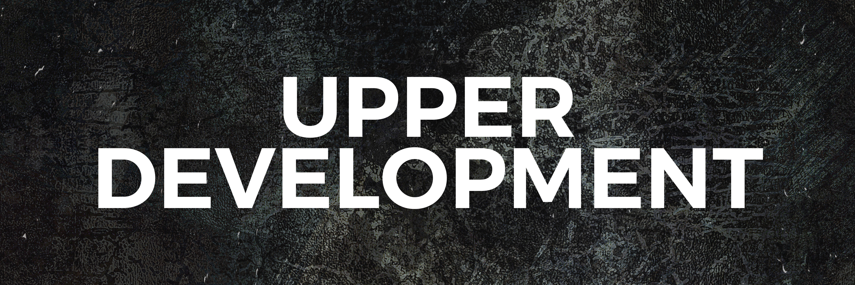 shoe upper development